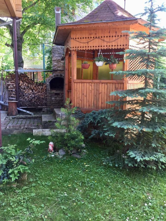 Zyma_Lito Guest House Jaremče Exteriér fotografie
